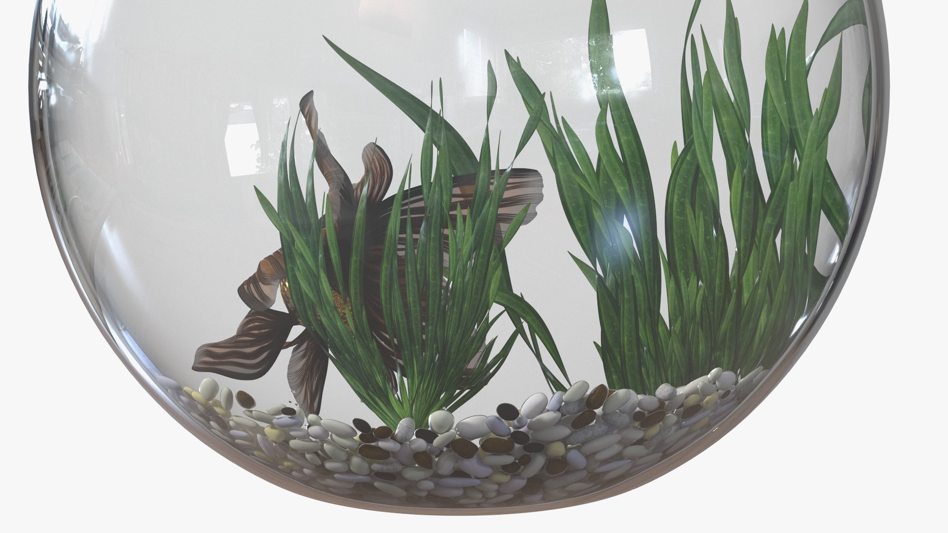 Round Aquariums with Fishes Collection 3D model https://p.turbosquid.com/ts-thumb/wl/FdCLDr/up/roundaquariumswithfishescollectionmb3dmodel043/jpg/1699833984/1920x1080/fit_q87/fe5ae3d28fb230d487252148035d21eaed83cc47/roundaquariumswithfishescollectionmb3dmodel043.jpg