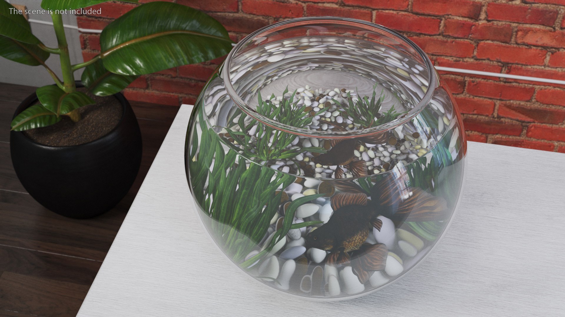 Round Aquariums with Fishes Collection 3D model https://p.turbosquid.com/ts-thumb/wl/FdCLDr/w7/roundaquariumswithfishescollectionmb3dmodel035/jpg/1699833952/1920x1080/fit_q87/4b337696933b65f5a5c327d402fede7614572aa0/roundaquariumswithfishescollectionmb3dmodel035.jpg