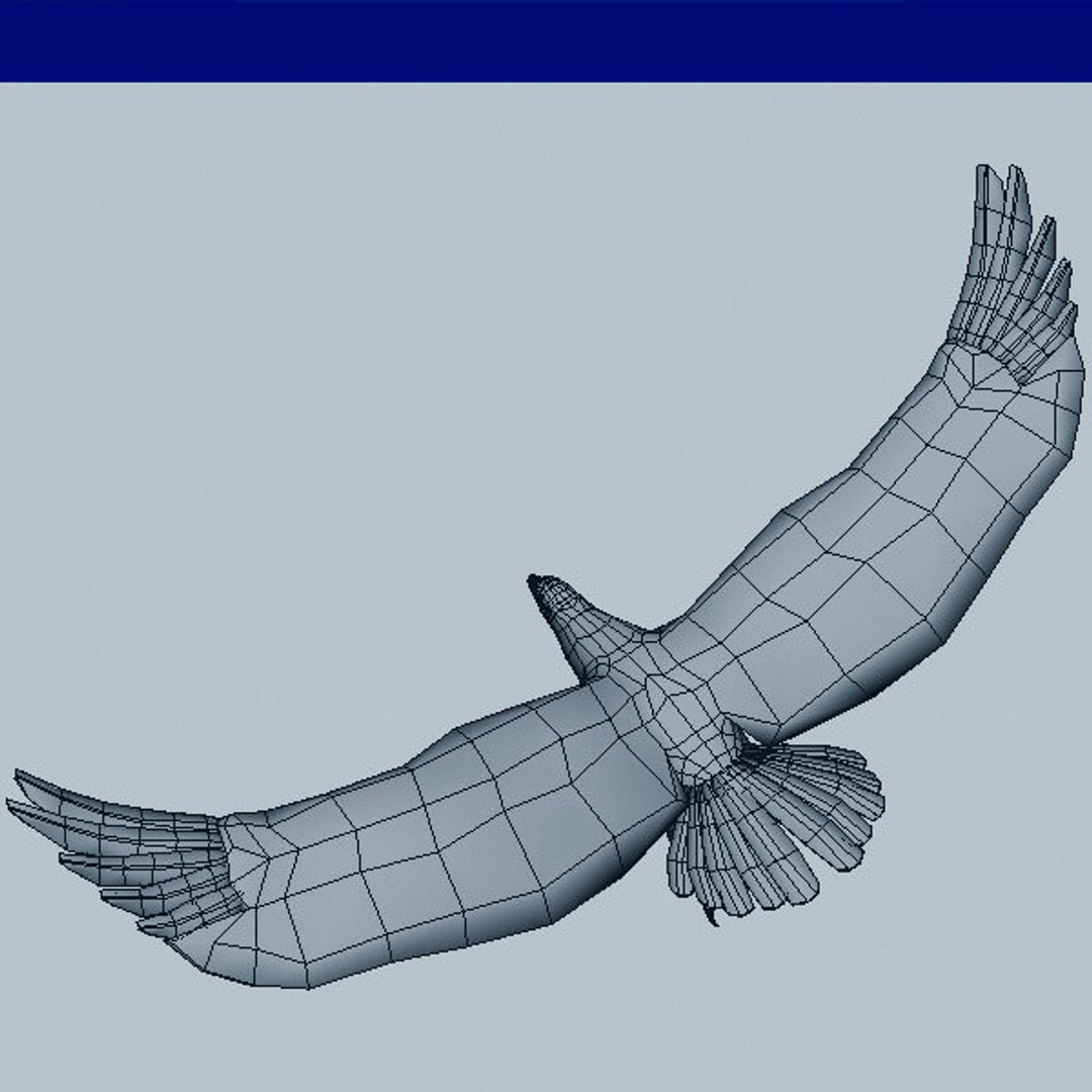 eagle bird animal model https://p.turbosquid.com/ts-thumb/wl/GM7uxc/8YFDIcDr/08/jpg/1516733333/1920x1080/fit_q87/d2f9a4c02d942140fcde7961e259101b1620bc56/08.jpg