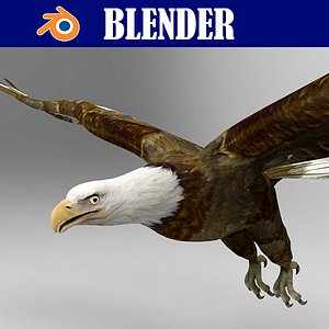 3D Bald-Eagle Models