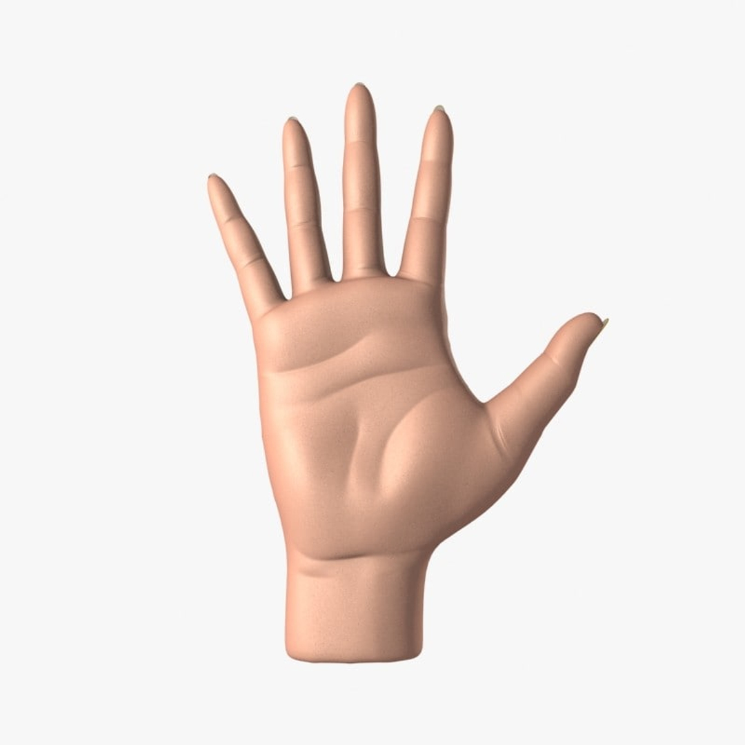Realistic Female Hand 3d Model