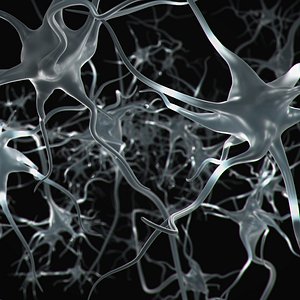 neuron 3D