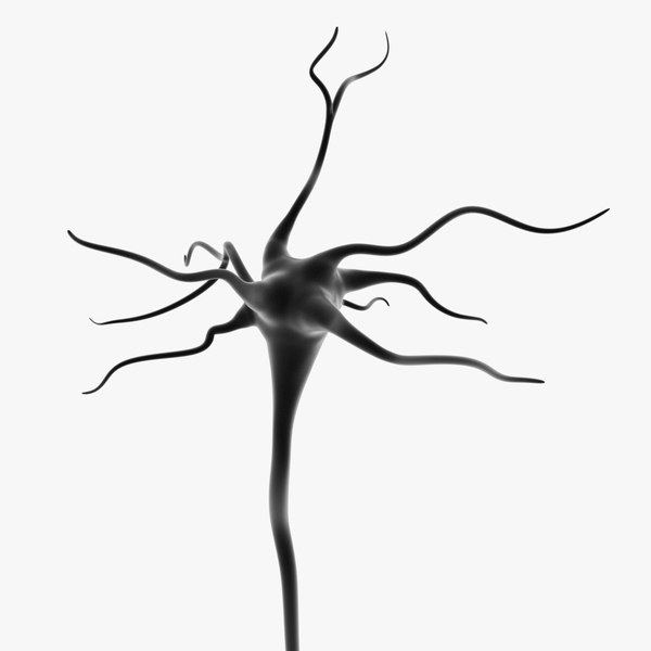 Animated Neuron 3D Models for Download | TurboSquid
