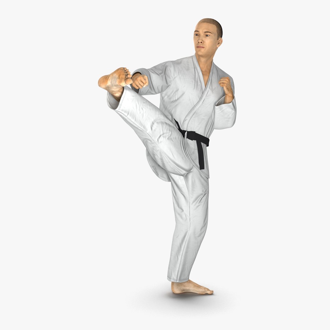 Japanese Karate Fighter Pose 2 with Fur 3D Model 3D model preview