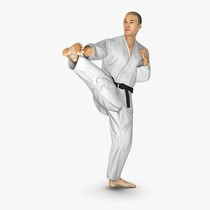 Japanese Karate Fighter Pose 2 with Fur 3D Model
