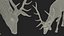 3D model Cervus Canadensis