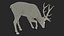 3D model Cervus Canadensis
