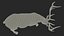 3D model Cervus Canadensis