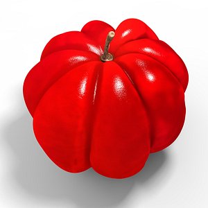 red fruit 3d model
