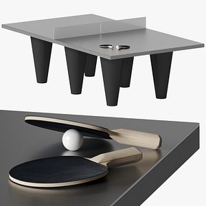 3D Romulus ping pong table by AREA model