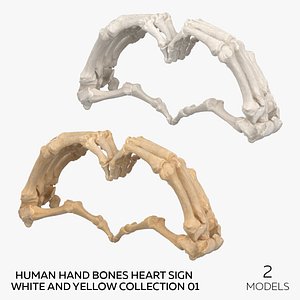 Human Hand Bones Heart Sign White and Yellow Collection 01 - 2 models 3D model