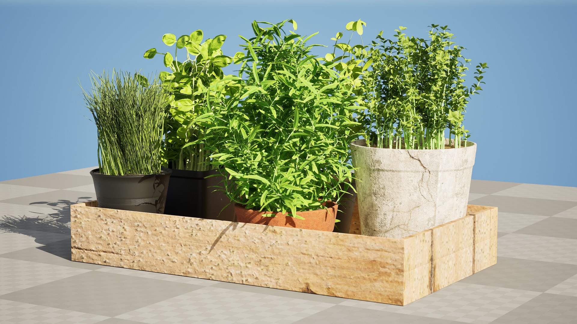 Wooden Tray with Herb Plants model https://p.turbosquid.com/ts-thumb/wm/0HpYRJ/0t/highresscreenshot00004/jpg/1710713955/1920x1080/fit_q87/1cd147c79278e5db81ff1d4df9430fde2229e41f/highresscreenshot00004.jpg