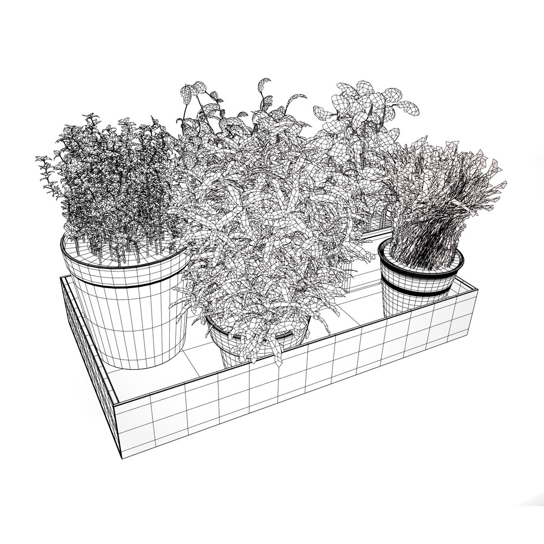 Wooden Tray with Herb Plants model https://p.turbosquid.com/ts-thumb/wm/0HpYRJ/pP/wire/jpg/1710713959/1920x1080/fit_q87/811304e530d68df672aad34cc81a438e7ea71f30/wire.jpg