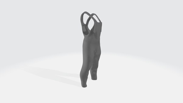 3D Overalls model