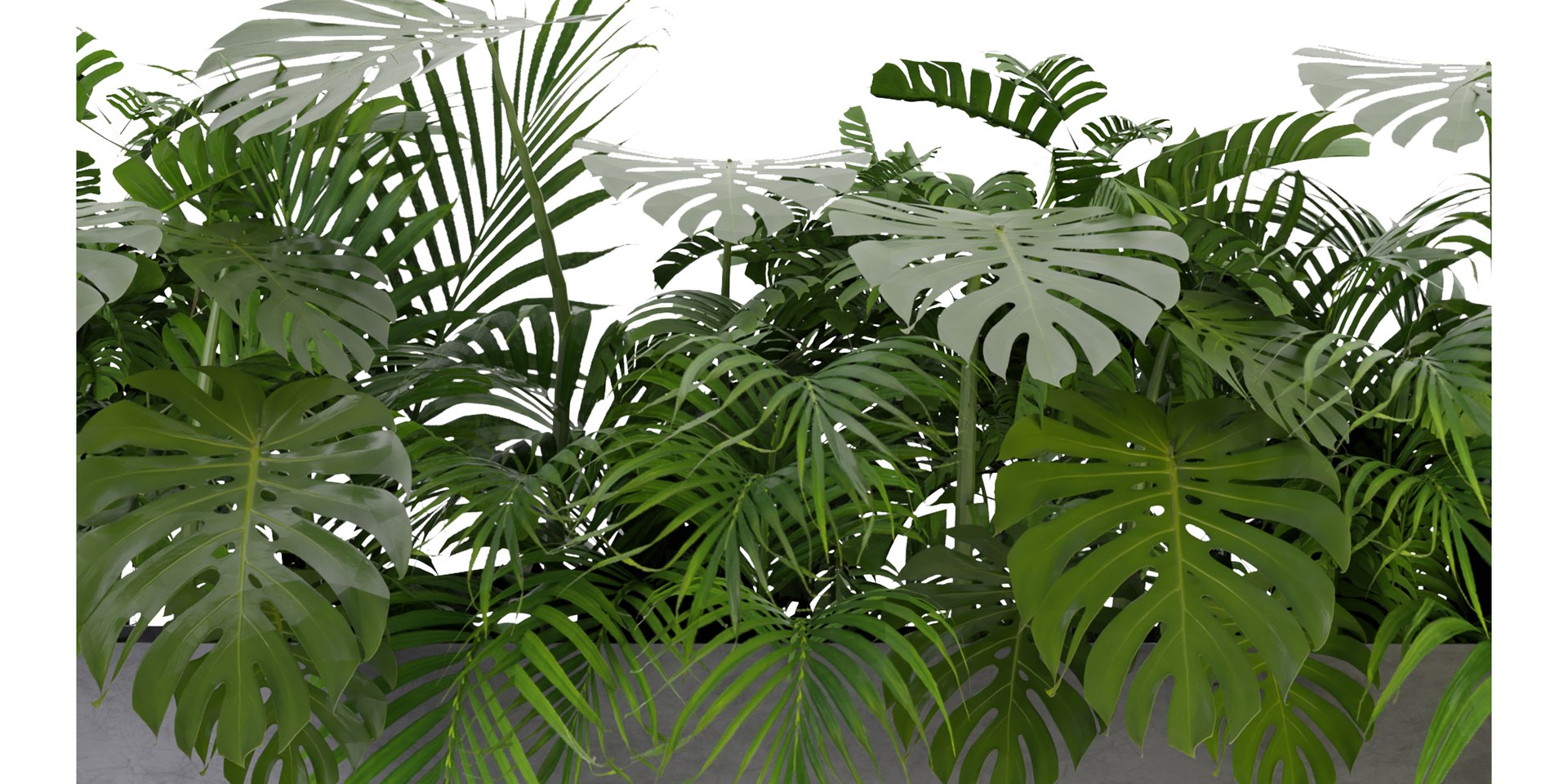 3D Collection plant vol 306 - blender model https://p.turbosquid.com/ts-thumb/wm/2JAIP8/r2/3/jpg/1688485296/1920x1080/fit_q87/e7c3015897811ca743fdc4437f35b5f133c99018/3.jpg