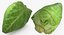 Colección de verduras 3