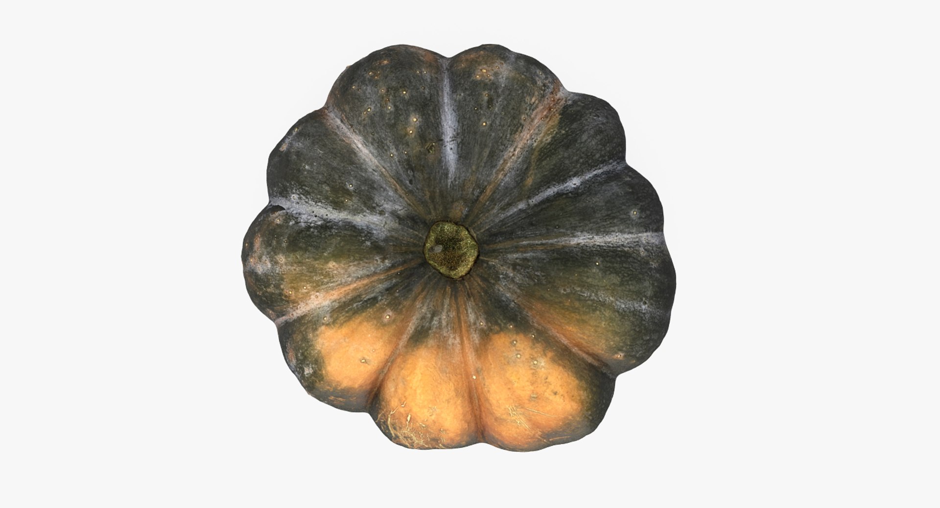 3D Vegetables Collection 3 model https://p.turbosquid.com/ts-thumb/wm/IeSG2h/ez/vegetablescollection33dmodel113/jpg/1633890814/1920x1080/fit_q87/98456c966701e1138ac83a71daf4020e93a7c172/vegetablescollection33dmodel113.jpg