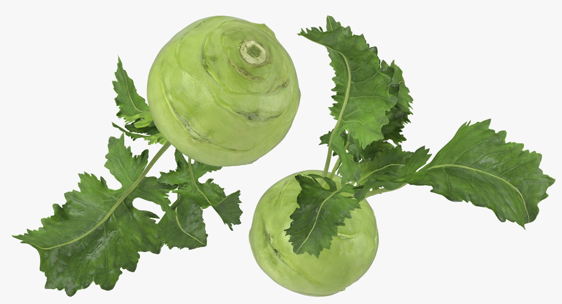 3D Vegetables Collection 3 model https://p.turbosquid.com/ts-thumb/wm/IeSG2h/or/vegetablescollection33dmodel044/jpg/1633890637/1920x1080/fit_q87/78cd68275a3d8b193d6badb94cc9d8fde898d5da/vegetablescollection33dmodel044.jpg