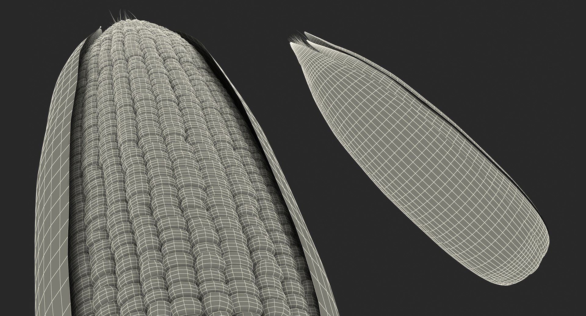 3D Vegetables Collection 3 model https://p.turbosquid.com/ts-thumb/wm/IeSG2h/x4/vegetablescollection33dmodel142/jpg/1633890885/1920x1080/fit_q87/d59899e9dd208cf15d63d3dea3b536d8503a9109/vegetablescollection33dmodel142.jpg