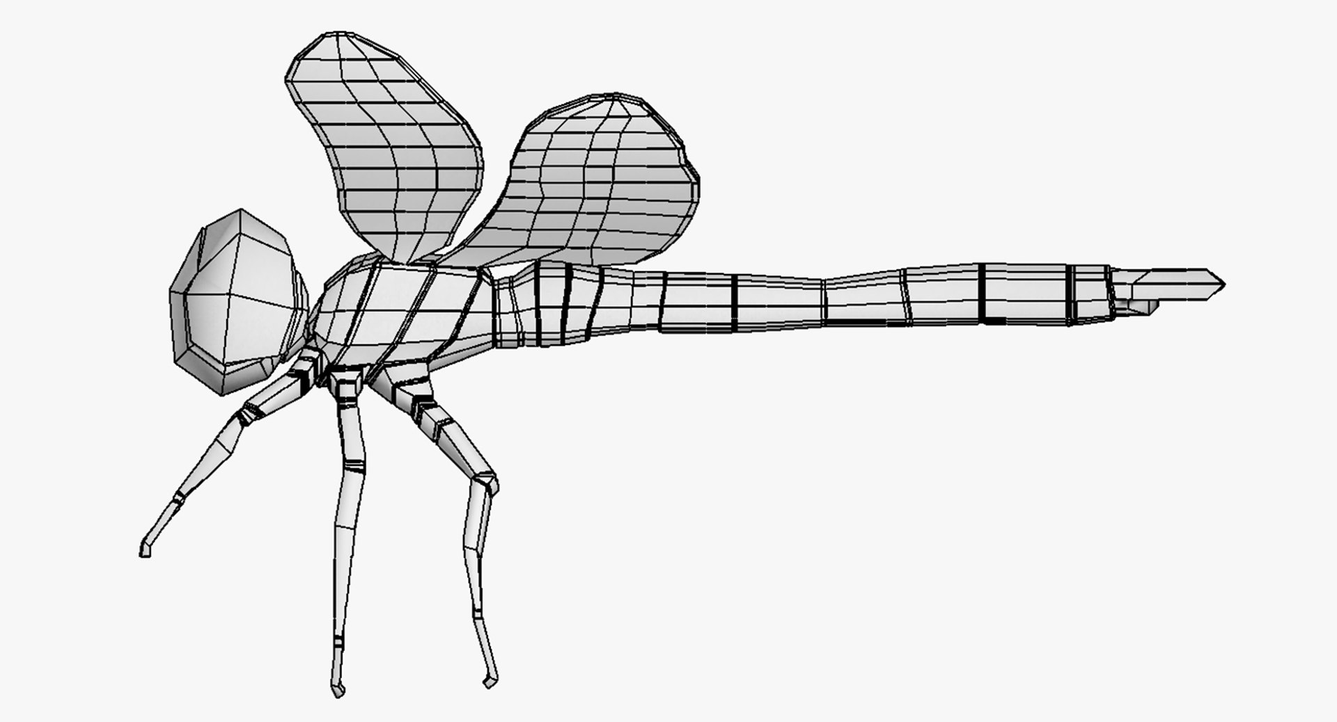 dragonfly wings model https://p.turbosquid.com/ts-thumb/wm/Rxhptm/5etJKRIO/dragonfly_13/jpg/1516752291/1920x1080/fit_q87/36ea328de28d3aefbd6de526bdfd4365b85b0216/dragonfly_13.jpg