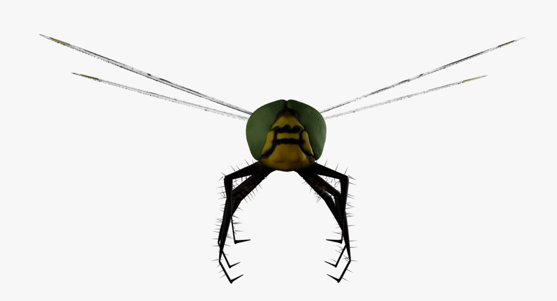 dragonfly wings model https://p.turbosquid.com/ts-thumb/wm/Rxhptm/HYYtE8GT/dradonfly/jpg/1516756345/1920x1080/turn_fit_q99/227a1e81a95ce94db9834b8357b8253e5f101ef2/dradonfly-1.jpg