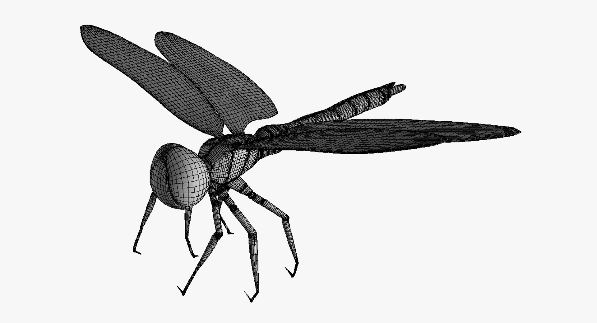 dragonfly wings model https://p.turbosquid.com/ts-thumb/wm/Rxhptm/HySoJcYP/dragonfly_12/jpg/1516752288/1920x1080/fit_q87/31d46eae1e45aa8400328098f63fdba9975e2a2f/dragonfly_12.jpg