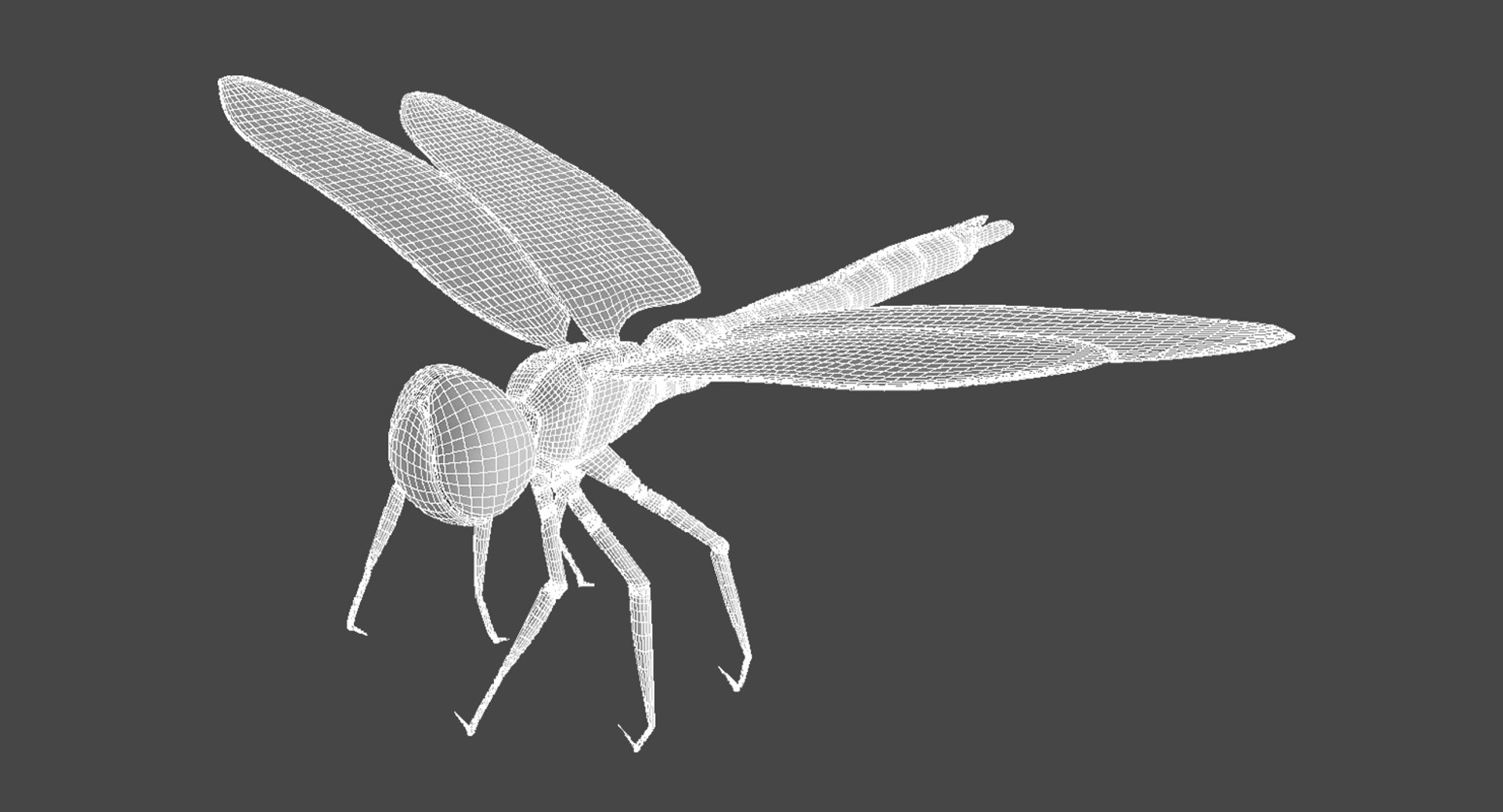 dragonfly wings model https://p.turbosquid.com/ts-thumb/wm/Rxhptm/sGRjY2Fj/dragonfly_9/jpg/1516752277/1920x1080/fit_q87/7a698f37fc5c63a728abe86423ef0bb8cb9fb0e1/dragonfly_9.jpg