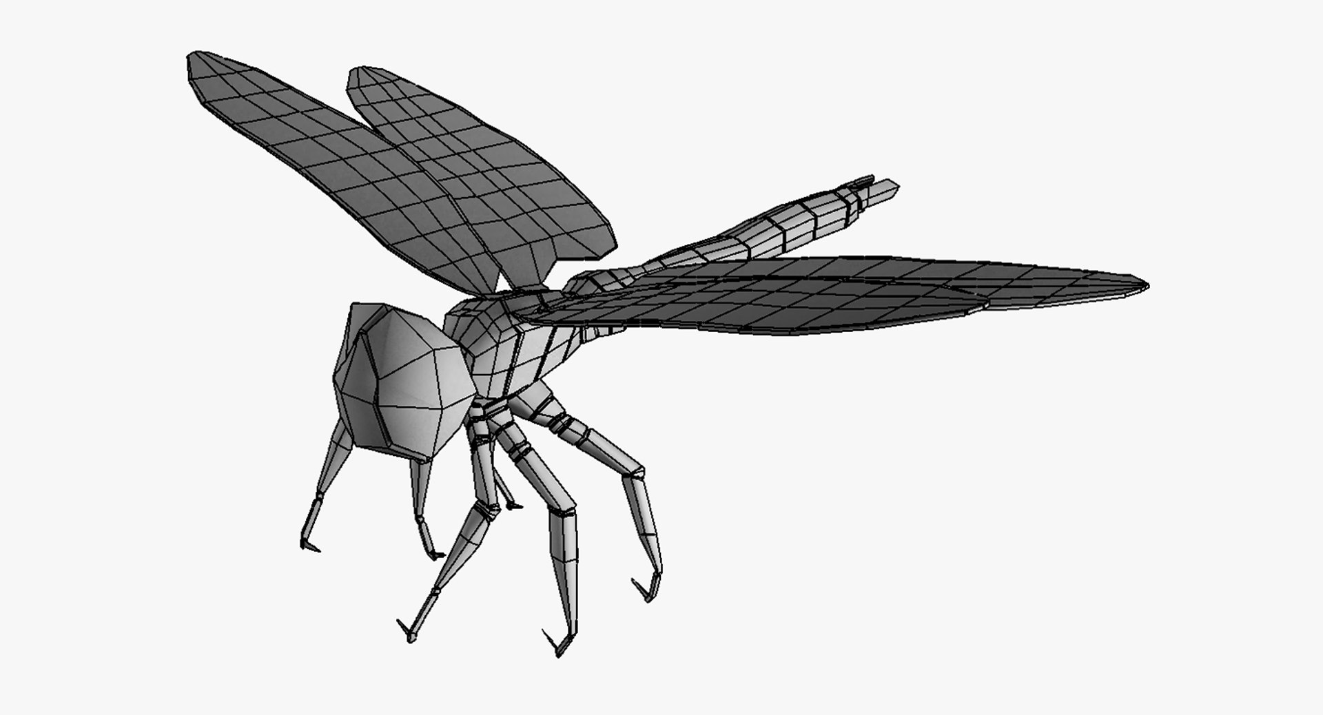dragonfly wings model https://p.turbosquid.com/ts-thumb/wm/Rxhptm/tNF9R2wA/dragonfly_11/jpg/1516752285/1920x1080/fit_q87/8df8c1b787249fdf0455f29b4dfc029289c4c9cc/dragonfly_11.jpg