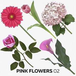 pink flowers 02 3D model