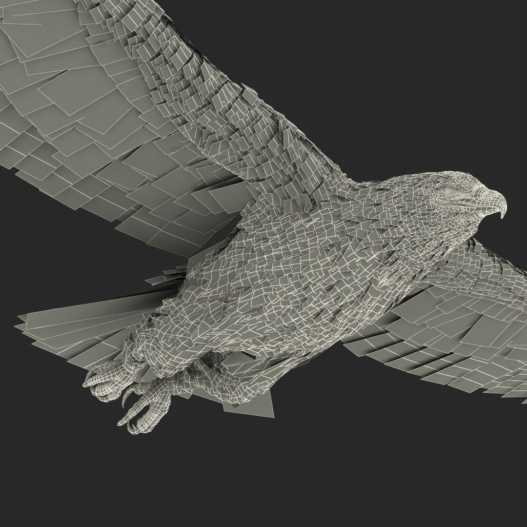 3d imperial eagle pose 2 model https://p.turbosquid.com/ts-thumb/wm/r7par9/FvqeaXJZ/imperialeagle3dmodel28/jpg/1447747241/1920x1080/fit_q87/d0e203d881e46d21969bd127b3a05a44a37a9901/imperialeagle3dmodel28.jpg
