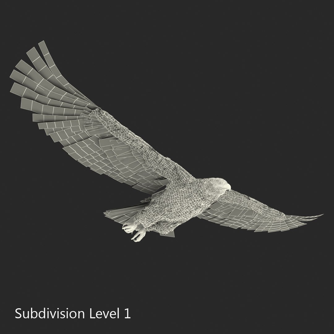 3d imperial eagle pose 2 model https://p.turbosquid.com/ts-thumb/wm/r7par9/Wip70DjK/imperialeagle3dmodel19/jpg/1447747240/1920x1080/fit_q87/57879f6081aa021319658be32b9f0ee334e32051/imperialeagle3dmodel19.jpg