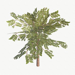 bush type 1 3d model