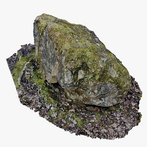 Old Forest Rock 3D scan