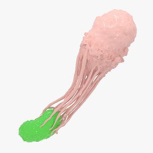 Leukocytes Attack