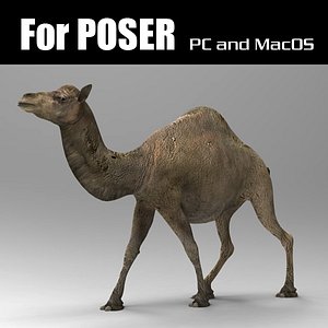3d camel poser model