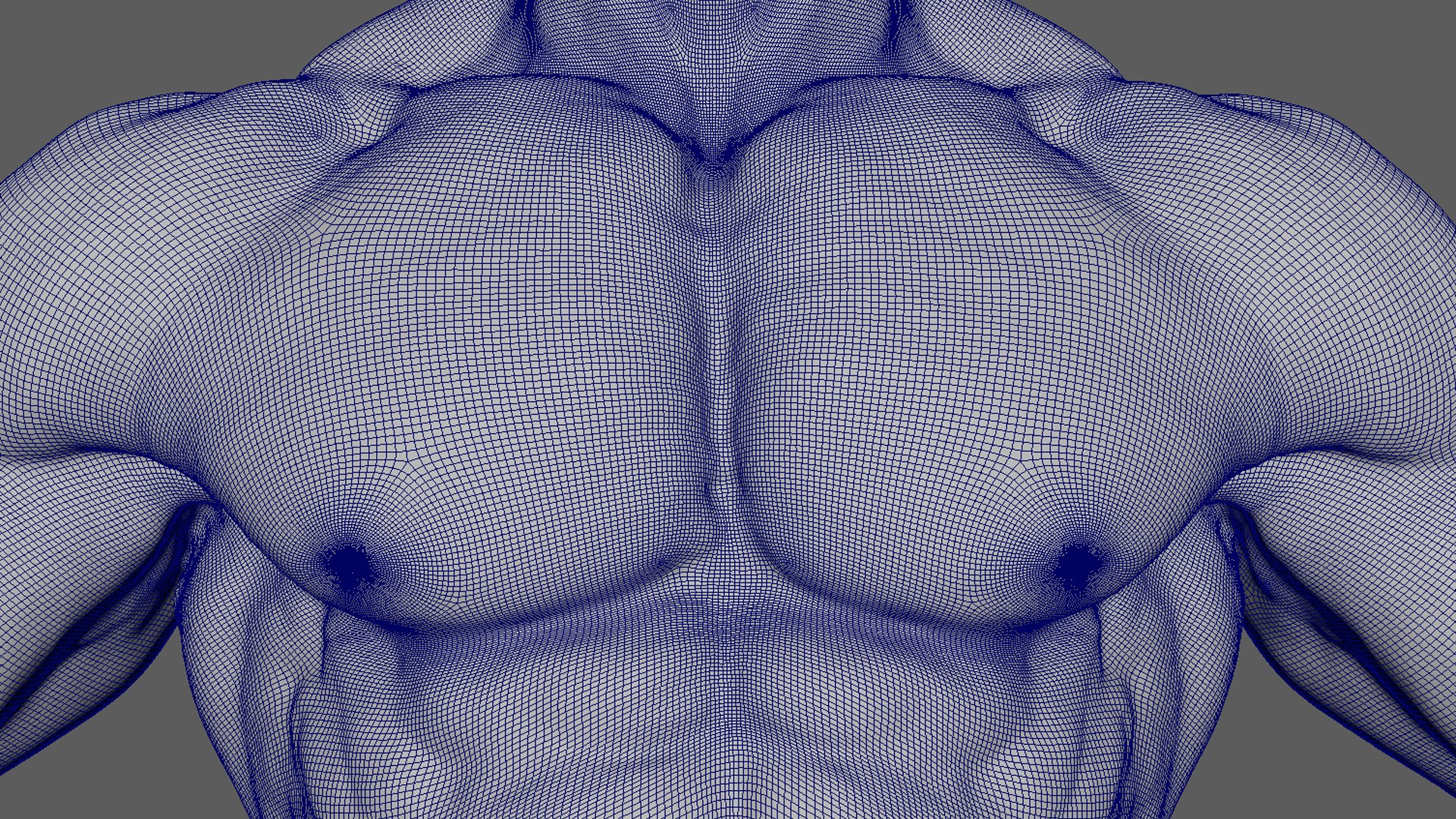 Bodybuilder Pose - Anatomy 3D Model - TurboSquid 2184933
