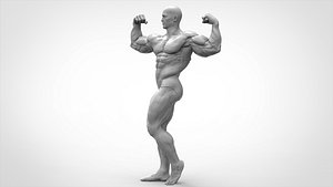 Bodybuilder Pose - Anatomy