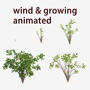 3D bush grow wind