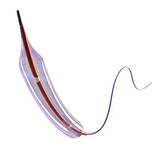 Medical Balloon Catheter PCI Angioplasty Device 3D Model