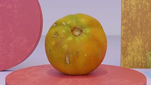 Tomato 03 high-poly 3D model 3D