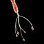 Neuron Cell