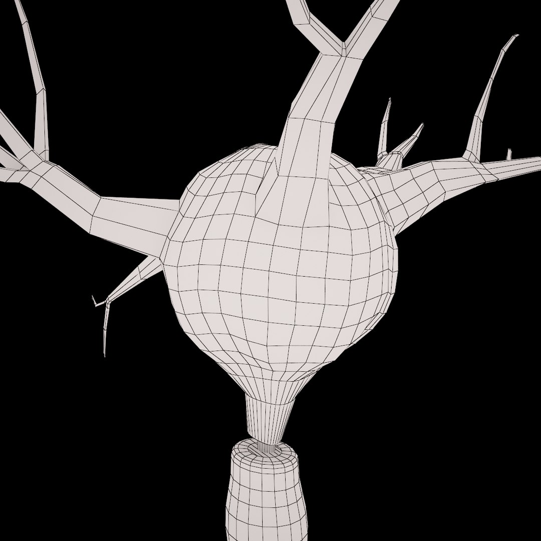 neuron cell max https://p.turbosquid.com/ts-thumb/wn/b1i8cb/FtzuAaCf/7/jpg/1335947837/1920x1080/fit_q87/f7f348719267e400189deffdca2929c33345d84d/7.jpg