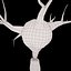 Neuron Cell