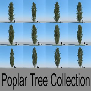 3d model realistic poplar trees