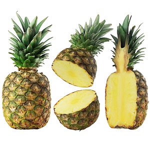 3D pineapple