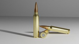 Ammo 7,62x51 mm bullet and case.