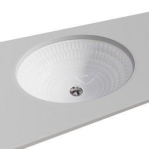 Kohler derring oval undermount bathroom sink 3D