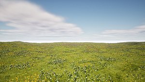 3D Grass Package  22 Assets