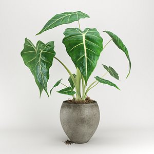 3D plant pot tree