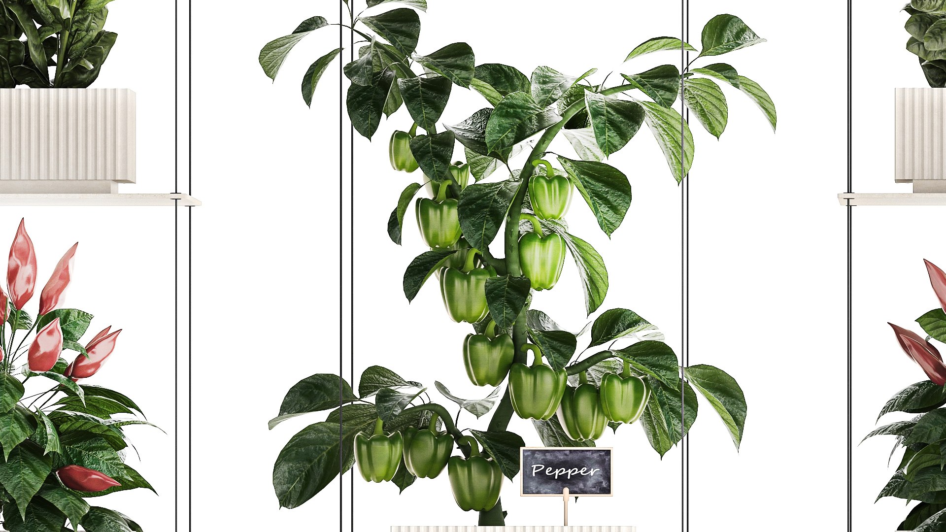 Mini kitchen garden Rosemary Basil vegetables pepper Tomato 1414 3D